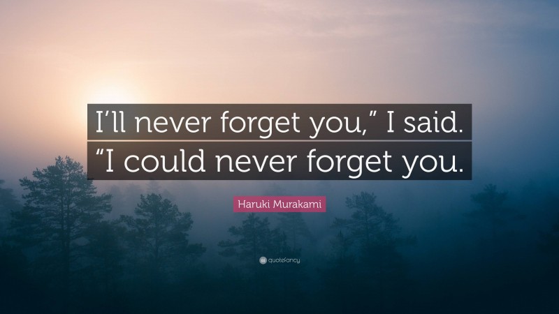 Haruki Murakami Quote: “I’ll never forget you,” I said. “I could never forget you.”