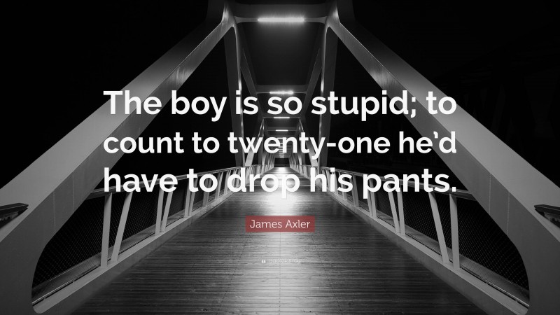 James Axler Quote: “The boy is so stupid; to count to twenty-one he’d have to drop his pants.”