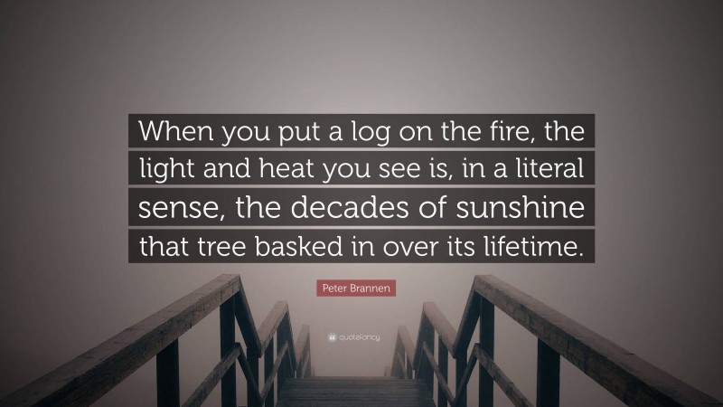 Peter Brannen Quote: “When you put a log on the fire, the light and heat you see is, in a literal sense, the decades of sunshine that tree basked in over its lifetime.”