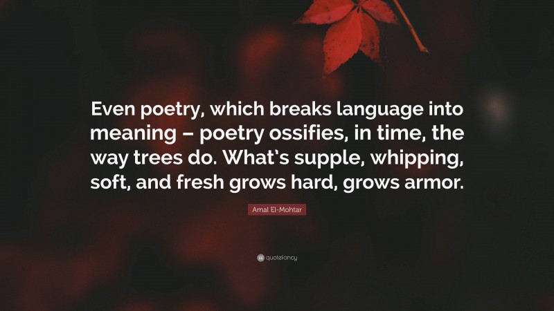 Amal El-Mohtar Quote: “Even poetry, which breaks language into meaning – poetry ossifies, in time, the way trees do. What’s supple, whipping, soft, and fresh grows hard, grows armor.”