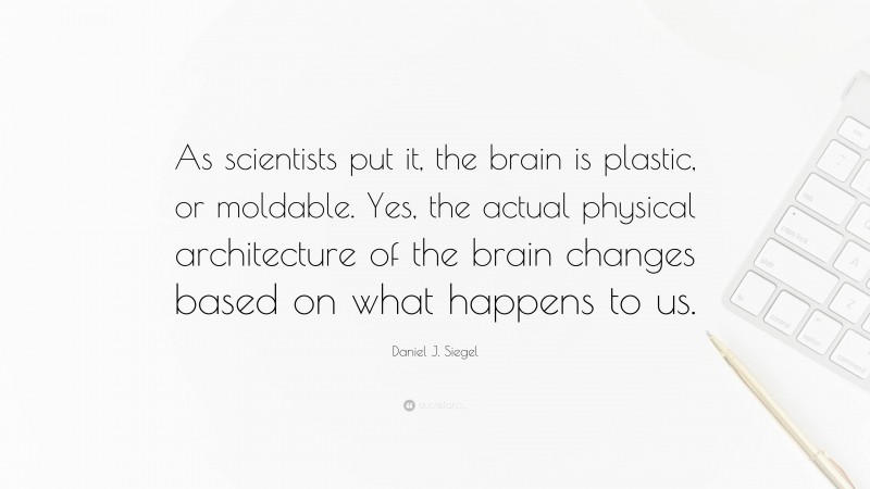 Daniel J. Siegel Quote: “As scientists put it, the brain is plastic, or moldable. Yes, the actual physical architecture of the brain changes based on what happens to us.”