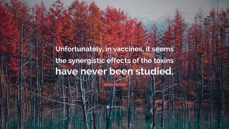 James Morcan Quote: “Unfortunately, in vaccines, it seems the synergistic effects of the toxins have never been studied.”