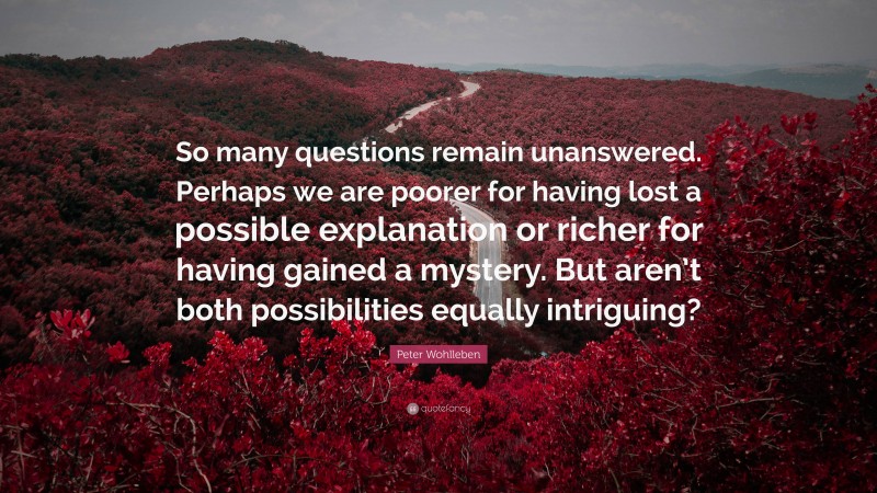 Peter Wohlleben Quote: “So many questions remain unanswered. Perhaps we are poorer for having lost a possible explanation or richer for having gained a mystery. But aren’t both possibilities equally intriguing?”