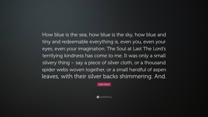 Mary Oliver Quote: “How blue is the sea, how blue is the sky, how blue and tiny and redeemable everything is, even you, even your eyes, even your imagination. The Soul at Last The Lord’s terrifying kindness has come to me. It was only a small silvery thing – say a piece of silver cloth, or a thousand spider webs woven together, or a small handful of aspen leaves, with their silver backs shimmering. And.”
