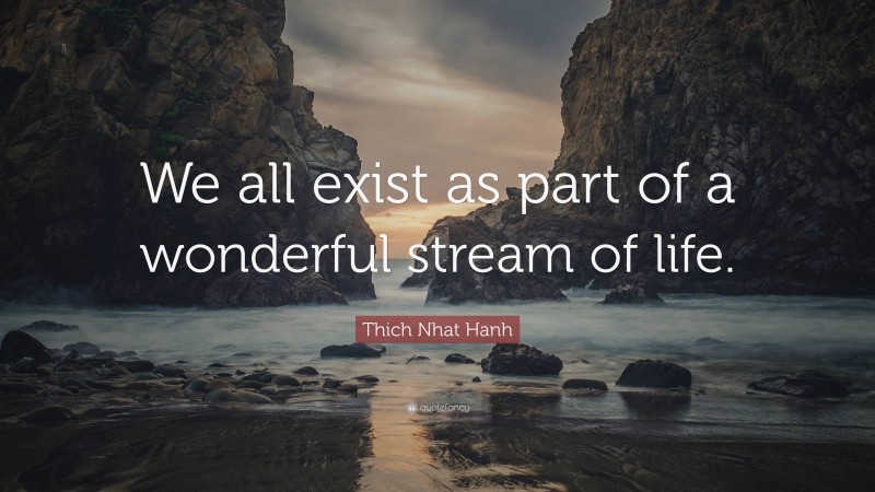 Thich Nhat Hanh Quote: “We all exist as part of a wonderful stream of life.”