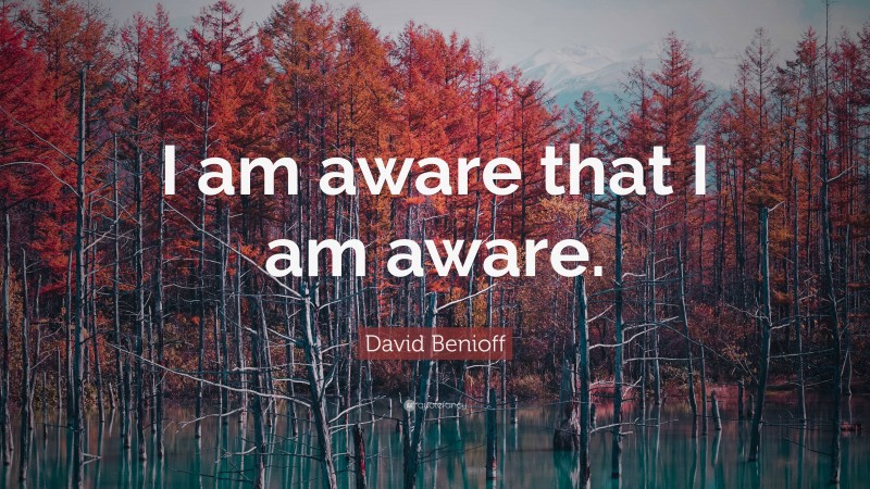 David Benioff Quote: “I am aware that I am aware.”