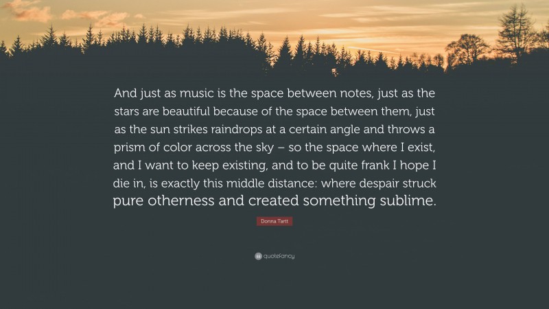 Donna Tartt Quote: “And just as music is the space between notes, just as the stars are beautiful because of the space between them, just as the sun strikes raindrops at a certain angle and throws a prism of color across the sky – so the space where I exist, and I want to keep existing, and to be quite frank I hope I die in, is exactly this middle distance: where despair struck pure otherness and created something sublime.”