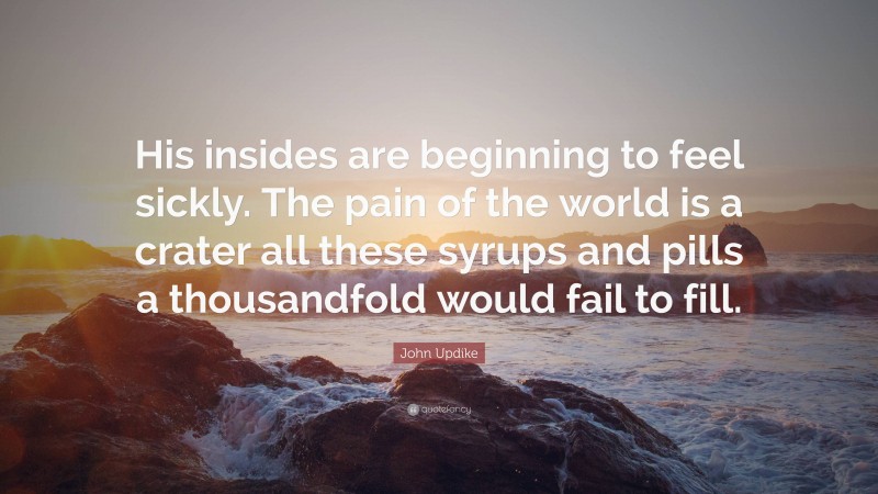 John Updike Quote: “His insides are beginning to feel sickly. The pain of the world is a crater all these syrups and pills a thousandfold would fail to fill.”