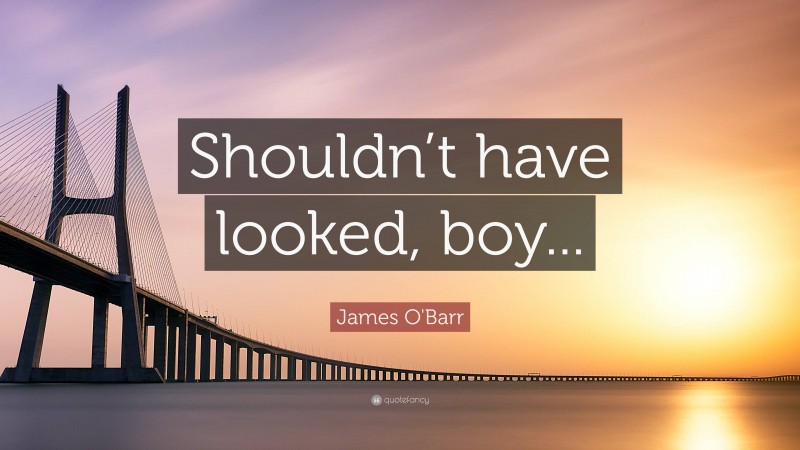 James O'Barr Quote: “Shouldn’t have looked, boy...”
