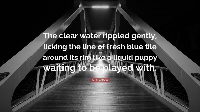 N.D. Wilson Quote: “The clear water rippled gently, licking the line of fresh blue tile around its rim like a liquid puppy waiting to be played with.”