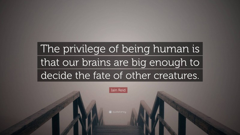 Iain Reid Quote: “The privilege of being human is that our brains are big enough to decide the fate of other creatures.”