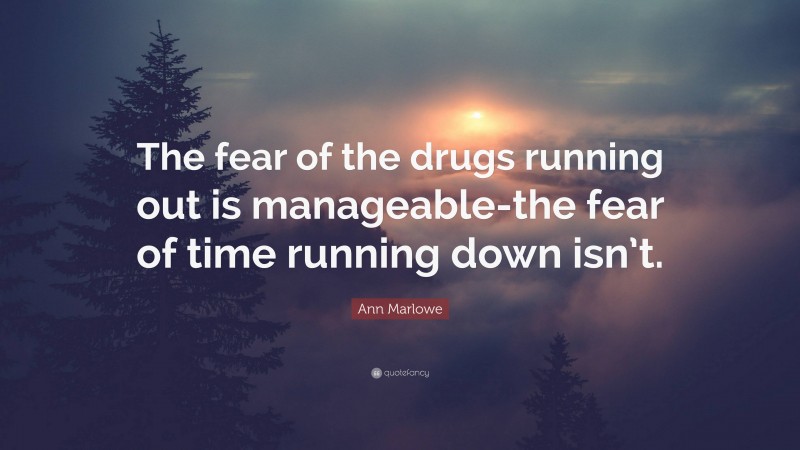 Ann Marlowe Quote: “The fear of the drugs running out is manageable-the fear of time running down isn’t.”