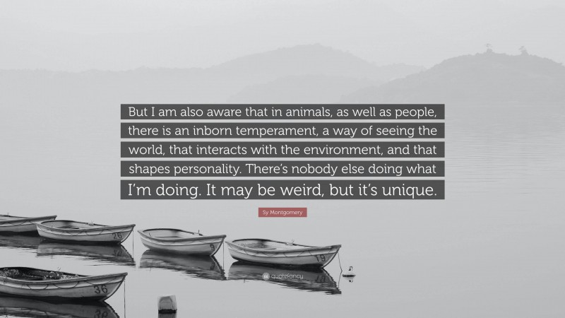 Sy Montgomery Quote: “But I am also aware that in animals, as well as people, there is an inborn temperament, a way of seeing the world, that interacts with the environment, and that shapes personality. There’s nobody else doing what I’m doing. It may be weird, but it’s unique.”