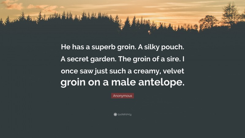 Anonymous Quote: “He has a superb groin. A silky pouch. A secret garden. The groin of a sire. I once saw just such a creamy, velvet groin on a male antelope.”