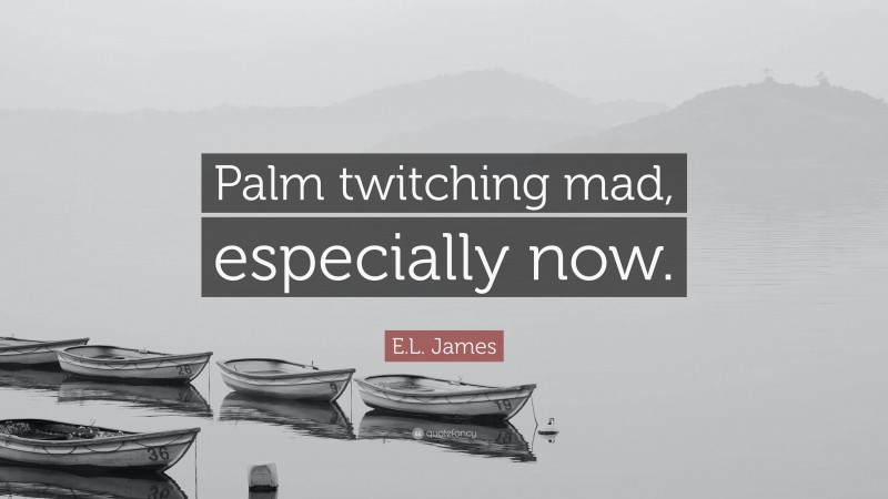 E.L. James Quote: “Palm twitching mad, especially now.”