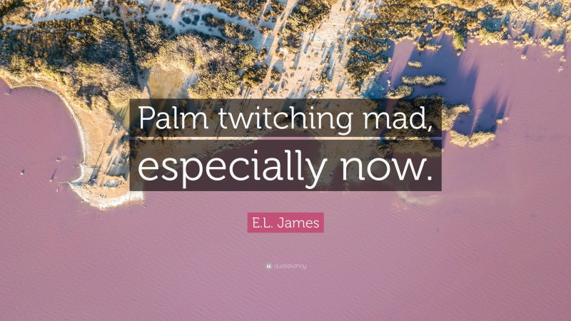 E.L. James Quote: “Palm twitching mad, especially now.”