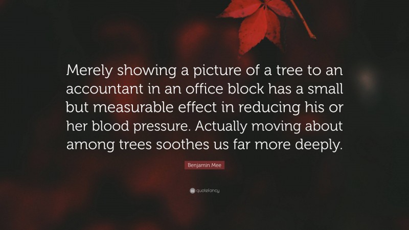 Benjamin Mee Quote: “Merely showing a picture of a tree to an accountant in an office block has a small but measurable effect in reducing his or her blood pressure. Actually moving about among trees soothes us far more deeply.”