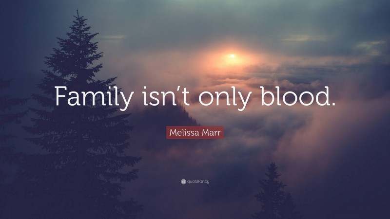 Melissa Marr Quote: “Family isn’t only blood.”