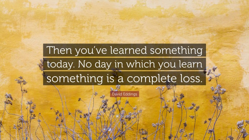 David Eddings Quote: “Then you’ve learned something today. No day in which you learn something is a complete loss.”