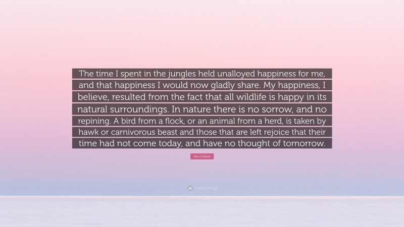 Jim Corbett Quote: “The time I spent in the jungles held unalloyed happiness for me, and that happiness I would now gladly share. My happiness, I believe, resulted from the fact that all wildlife is happy in its natural surroundings. In nature there is no sorrow, and no repining. A bird from a flock, or an animal from a herd, is taken by hawk or carnivorous beast and those that are left rejoice that their time had not come today, and have no thought of tomorrow.”