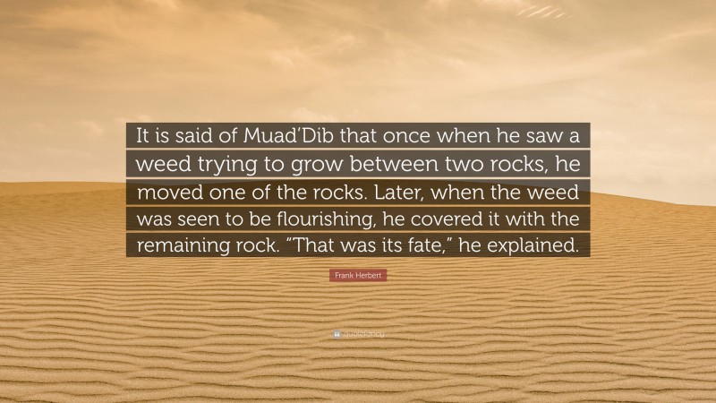 Frank Herbert Quote: “It is said of Muad’Dib that once when he saw a weed trying to grow between two rocks, he moved one of the rocks. Later, when the weed was seen to be flourishing, he covered it with the remaining rock. “That was its fate,” he explained.”