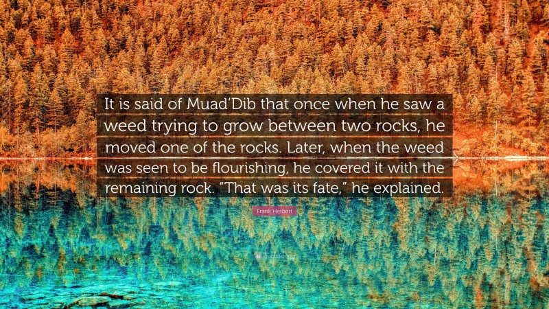 Frank Herbert Quote: “It is said of Muad’Dib that once when he saw a weed trying to grow between two rocks, he moved one of the rocks. Later, when the weed was seen to be flourishing, he covered it with the remaining rock. “That was its fate,” he explained.”