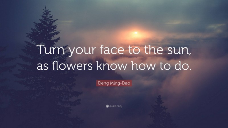 Deng Ming-Dao Quote: “Turn your face to the sun, as flowers know how to do.”