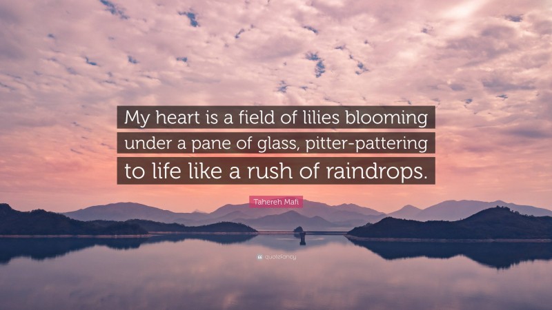 Tahereh Mafi Quote: “My heart is a field of lilies blooming under a pane of glass, pitter-pattering to life like a rush of raindrops.”