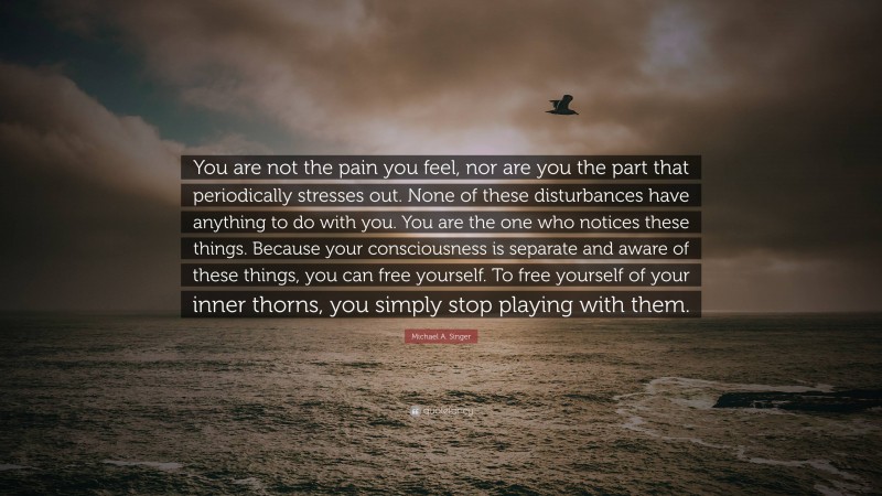 Michael A. Singer Quote: “You are not the pain you feel, nor are you the part that periodically stresses out. None of these disturbances have anything to do with you. You are the one who notices these things. Because your consciousness is separate and aware of these things, you can free yourself. To free yourself of your inner thorns, you simply stop playing with them.”