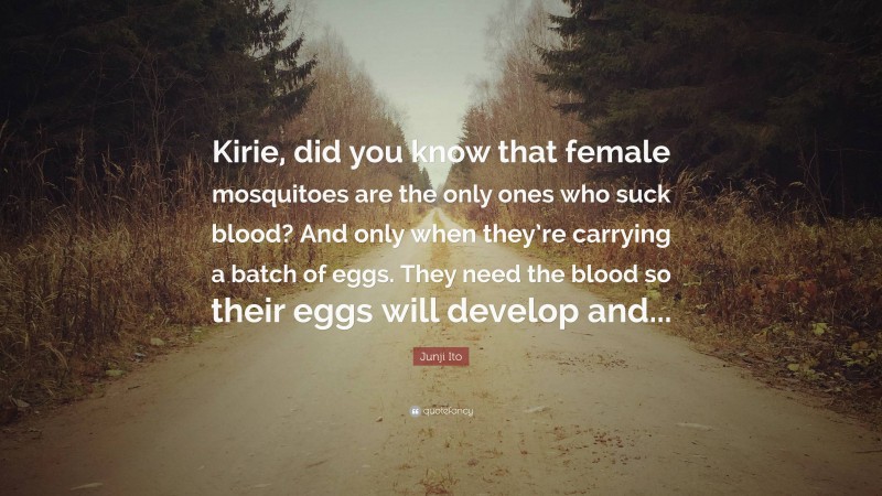 Junji Ito Quote: “Kirie, did you know that female mosquitoes are the only ones who suck blood? And only when they’re carrying a batch of eggs. They need the blood so their eggs will develop and...”