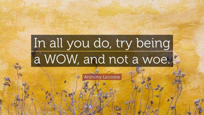 Anthony Liccione Quote: “In all you do, try being a WOW, and not a woe.”
