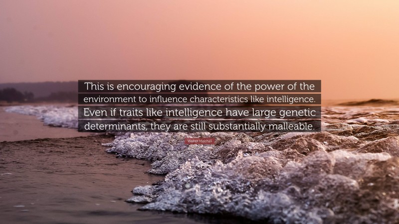 Walter Mischel Quote: “This is encouraging evidence of the power of the environment to influence characteristics like intelligence. Even if traits like intelligence have large genetic determinants, they are still substantially malleable.”
