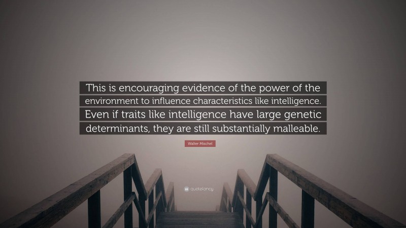 Walter Mischel Quote: “This is encouraging evidence of the power of the environment to influence characteristics like intelligence. Even if traits like intelligence have large genetic determinants, they are still substantially malleable.”