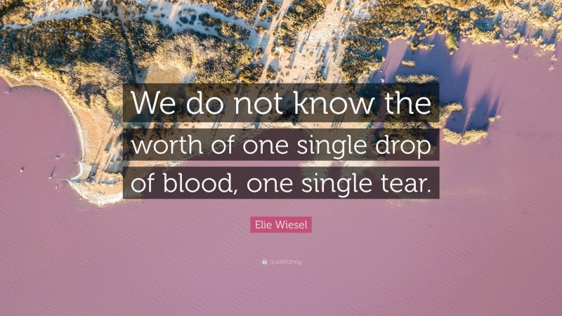 Elie Wiesel Quote: “We do not know the worth of one single drop of blood, one single tear.”