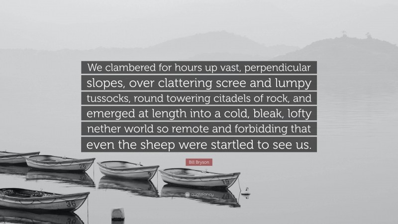 Bill Bryson Quote: “We clambered for hours up vast, perpendicular slopes, over clattering scree and lumpy tussocks, round towering citadels of rock, and emerged at length into a cold, bleak, lofty nether world so remote and forbidding that even the sheep were startled to see us.”