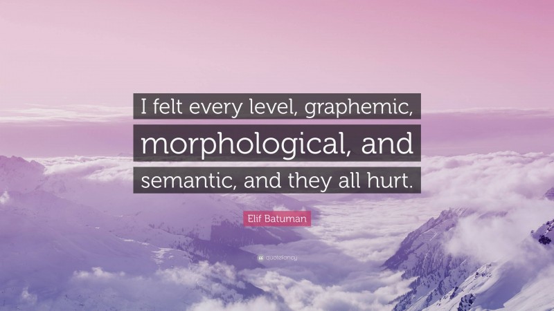 Elif Batuman Quote: “I felt every level, graphemic, morphological, and semantic, and they all hurt.”