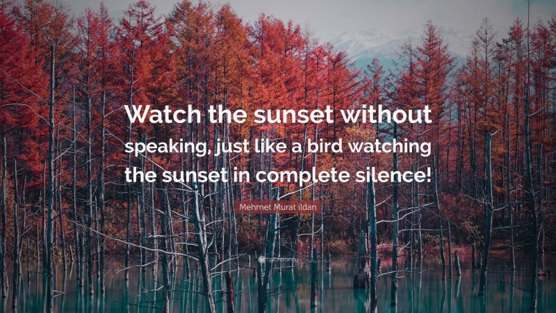 Mehmet Murat ildan Quote: “Watch the sunset without speaking, just like a bird watching the sunset in complete silence!”