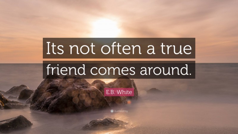E.B. White Quote: “Its not often a true friend comes around.”