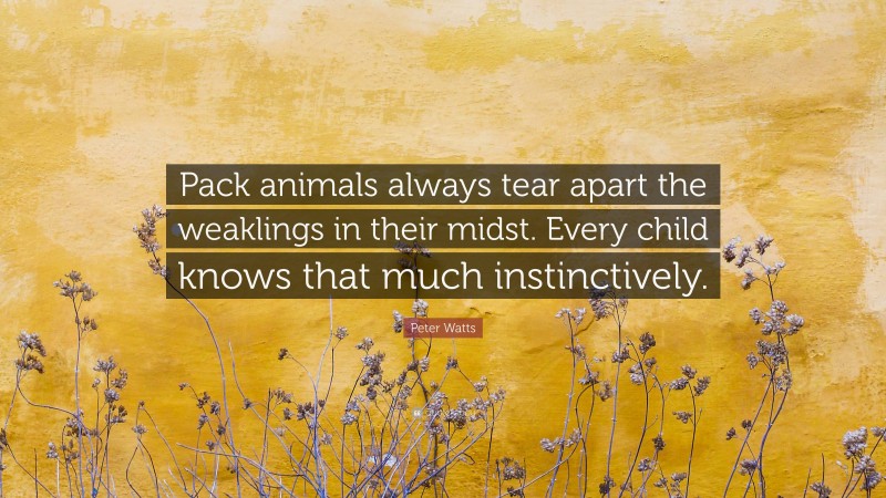 Peter Watts Quote: “Pack animals always tear apart the weaklings in their midst. Every child knows that much instinctively.”