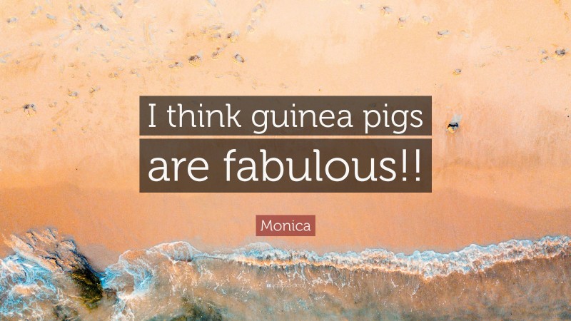 Monica Quote: “I think guinea pigs are fabulous!!”