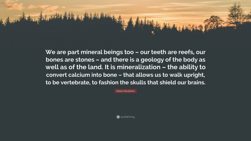Robert Macfarlane Quote: “We are part mineral beings too – our teeth are reefs, our bones are stones – and there is a geology of the body as well as of the land. It is mineralization – the ability to convert calcium into bone – that allows us to walk upright, to be vertebrate, to fashion the skulls that shield our brains.”