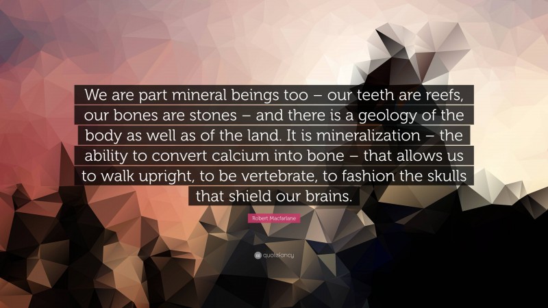 Robert Macfarlane Quote: “We are part mineral beings too – our teeth are reefs, our bones are stones – and there is a geology of the body as well as of the land. It is mineralization – the ability to convert calcium into bone – that allows us to walk upright, to be vertebrate, to fashion the skulls that shield our brains.”