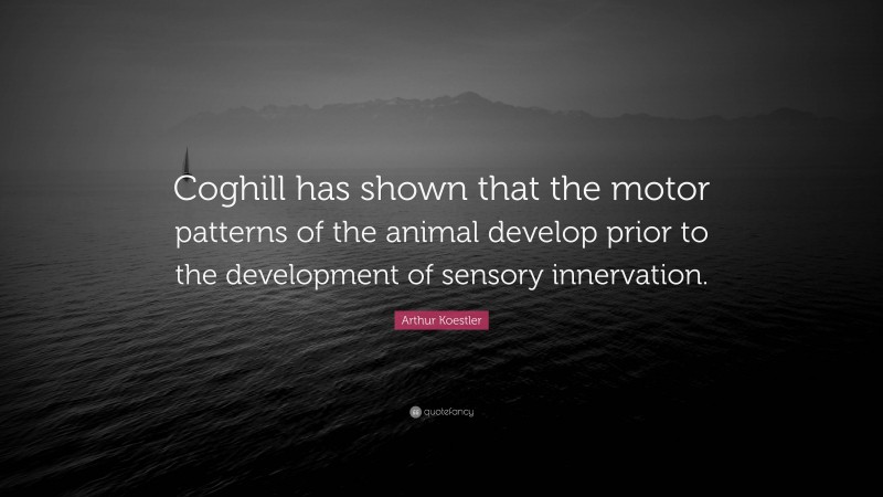 Arthur Koestler Quote: “Coghill has shown that the motor patterns of the animal develop prior to the development of sensory innervation.”