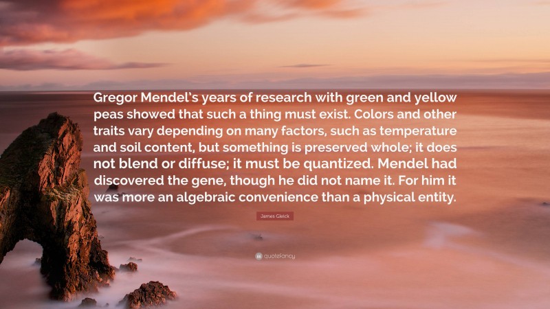 James Gleick Quote: “Gregor Mendel’s years of research with green and yellow peas showed that such a thing must exist. Colors and other traits vary depending on many factors, such as temperature and soil content, but something is preserved whole; it does not blend or diffuse; it must be quantized. Mendel had discovered the gene, though he did not name it. For him it was more an algebraic convenience than a physical entity.”