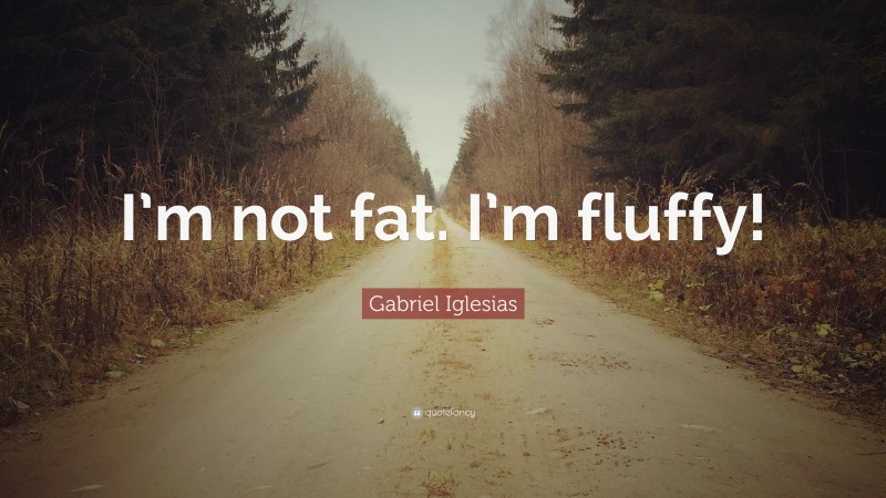 Gabriel Iglesias Quote: “I’m not fat. I’m fluffy!”