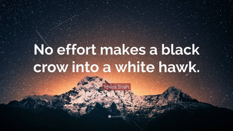 Idries Shah Quote: “No effort makes a black crow into a white hawk.”