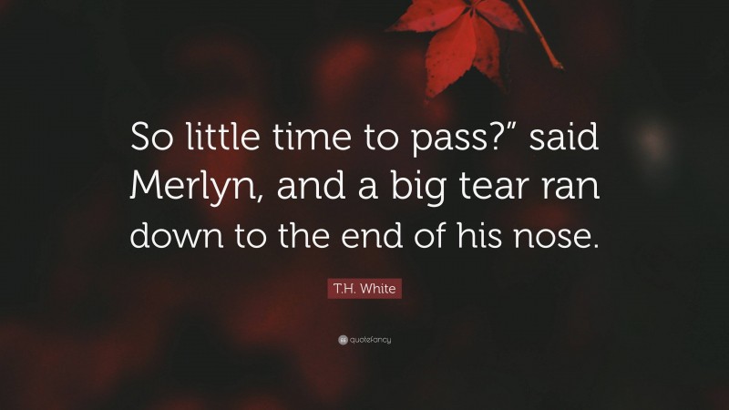 T.H. White Quote: “So little time to pass?” said Merlyn, and a big tear ran down to the end of his nose.”