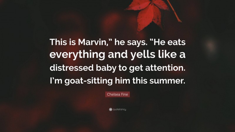 Chelsea Fine Quote: “This is Marvin,” he says. “He eats everything and yells like a distressed baby to get attention. I’m goat-sitting him this summer.”