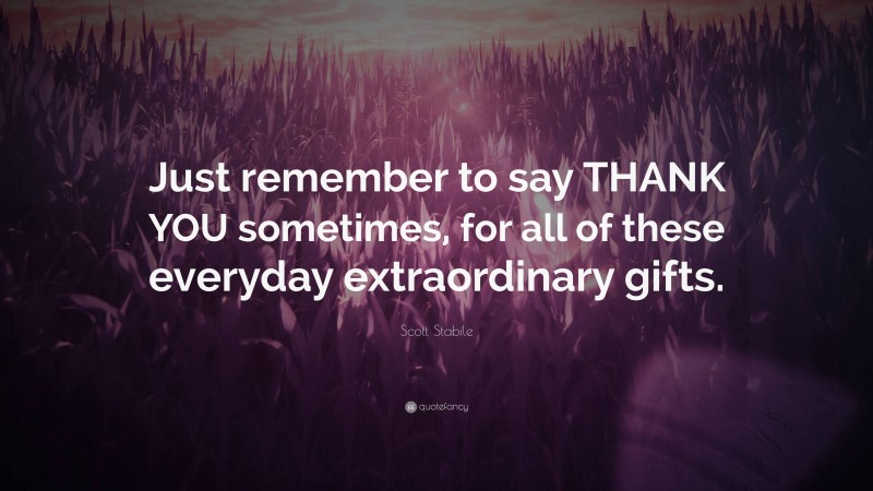 Scott Stabile Quote: “Just remember to say THANK YOU sometimes, for all of these everyday extraordinary gifts.”