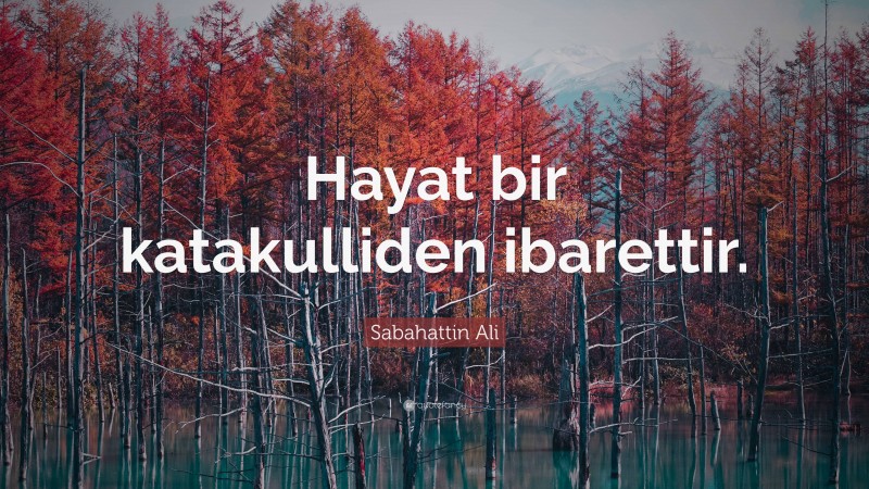 Sabahattin Ali Quote: “Hayat bir katakulliden ibarettir.”